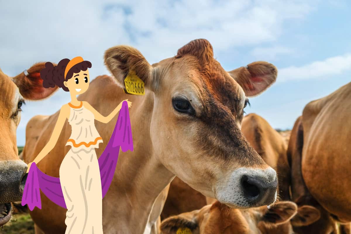 DID HERA KILL HERCULES intelligence overview