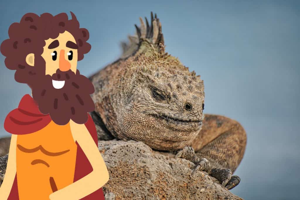 Perseus Saves Andromeda The Story Behind The Greek Myth Myth Nerd